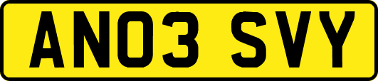 AN03SVY