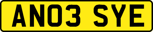 AN03SYE
