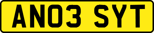 AN03SYT