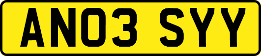 AN03SYY