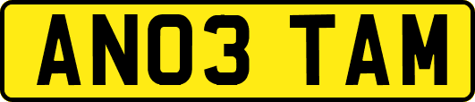 AN03TAM