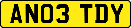 AN03TDY