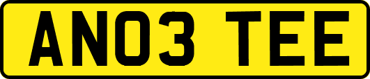 AN03TEE