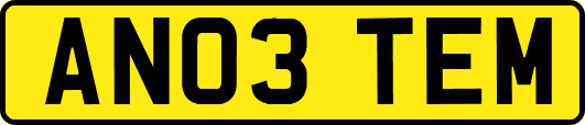AN03TEM