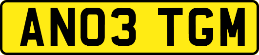AN03TGM