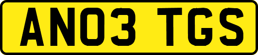 AN03TGS