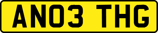 AN03THG