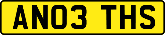 AN03THS