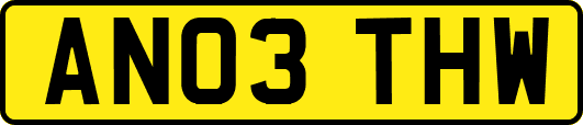 AN03THW