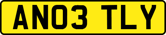 AN03TLY