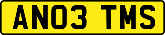 AN03TMS