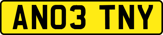 AN03TNY