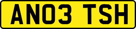 AN03TSH