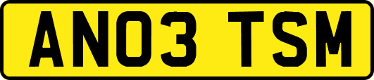 AN03TSM