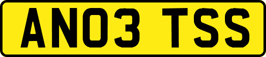AN03TSS