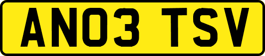 AN03TSV