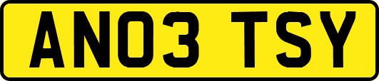 AN03TSY