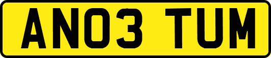 AN03TUM