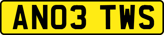 AN03TWS