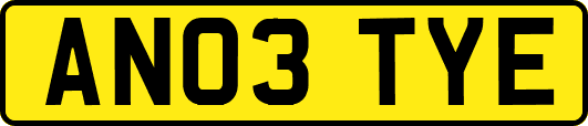 AN03TYE