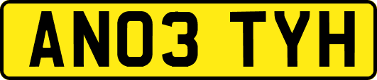AN03TYH