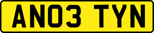 AN03TYN
