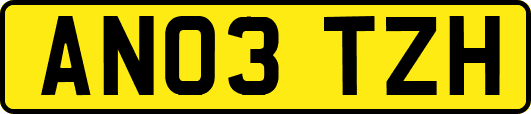 AN03TZH