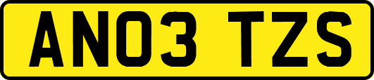 AN03TZS