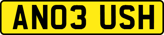 AN03USH