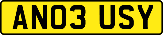 AN03USY