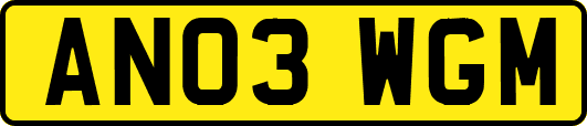 AN03WGM