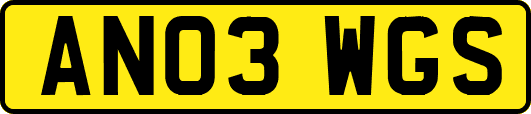 AN03WGS