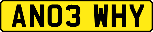 AN03WHY