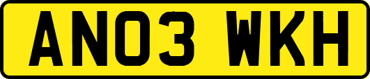 AN03WKH