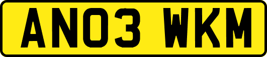 AN03WKM