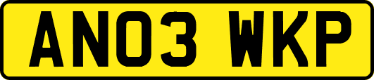 AN03WKP