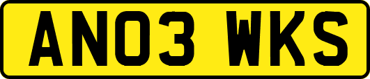 AN03WKS