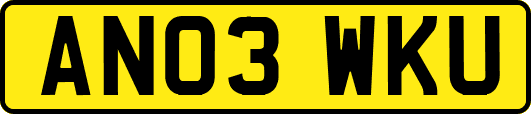 AN03WKU