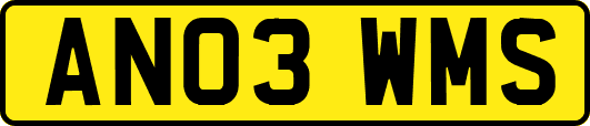 AN03WMS