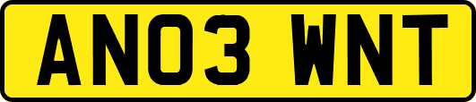 AN03WNT