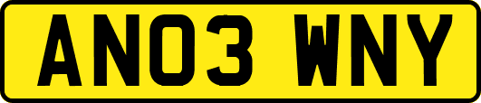 AN03WNY