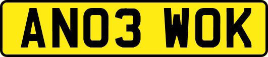 AN03WOK