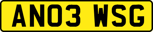 AN03WSG