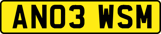 AN03WSM