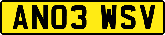 AN03WSV