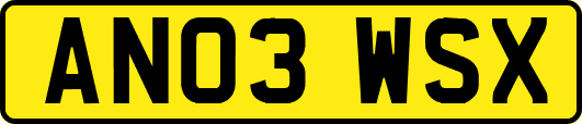 AN03WSX