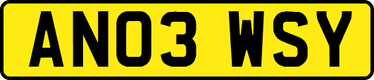 AN03WSY
