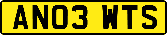 AN03WTS