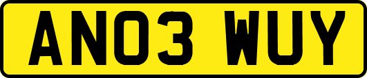 AN03WUY