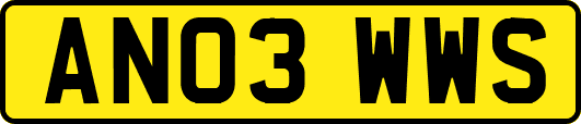 AN03WWS